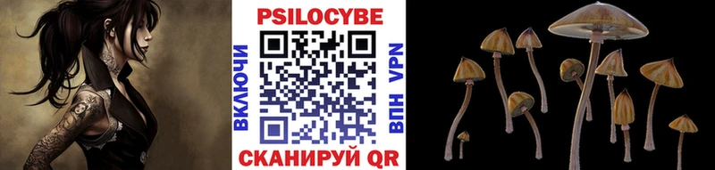 Псилоцибиновые грибы ЛСД  нарко площадка наркотические препараты  Тутаев 